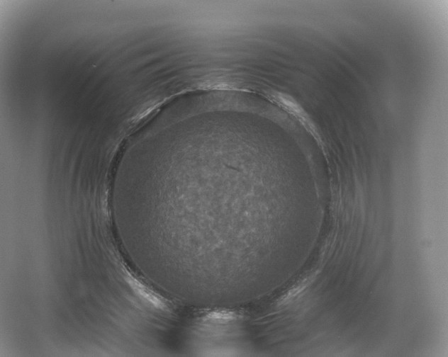 X0000066540441200603241415