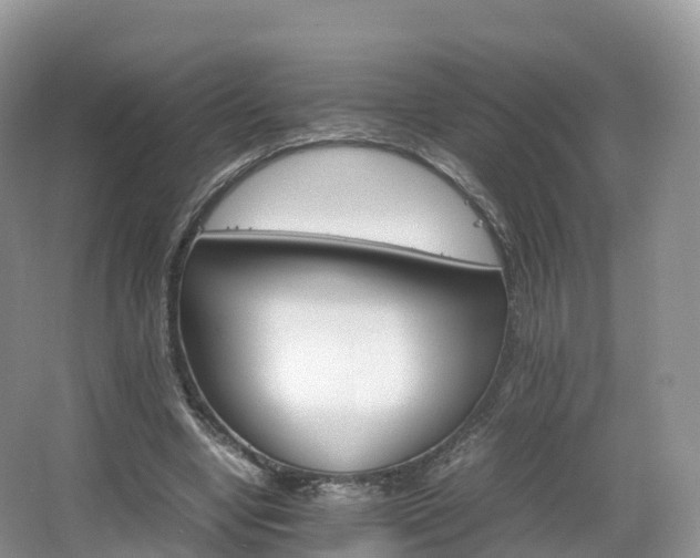 X0000066540442200603241415