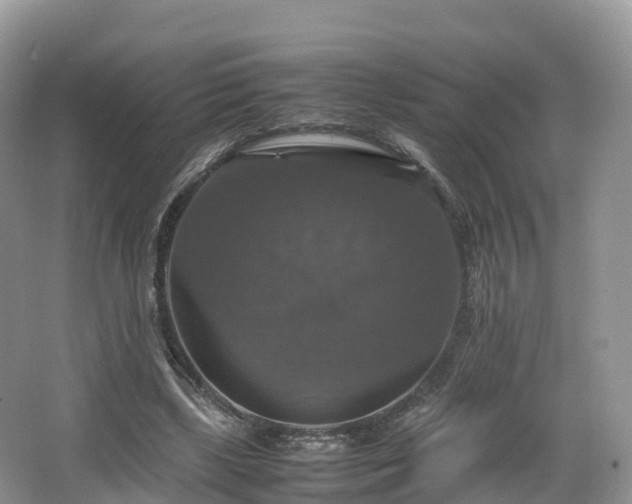 X0000066540443200603241415