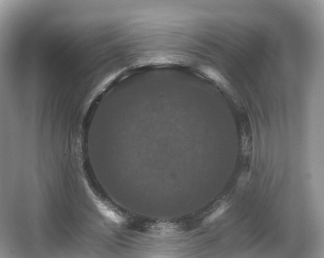 X0000066540444200603241415