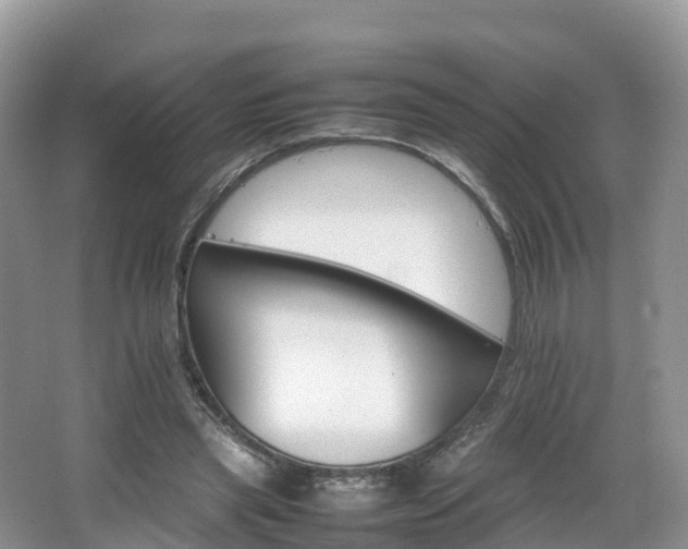 X0000066540445200603241415