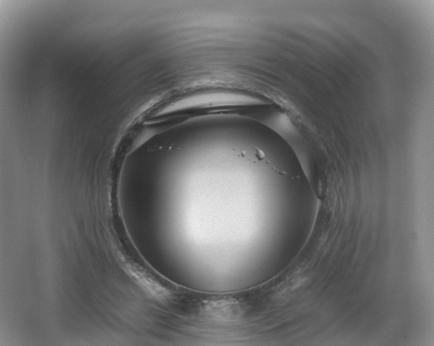 X0000066540446200603241415