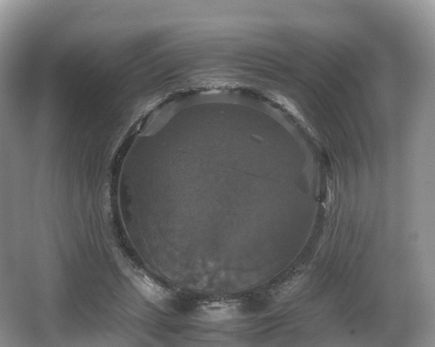 X0000066540447200603241415