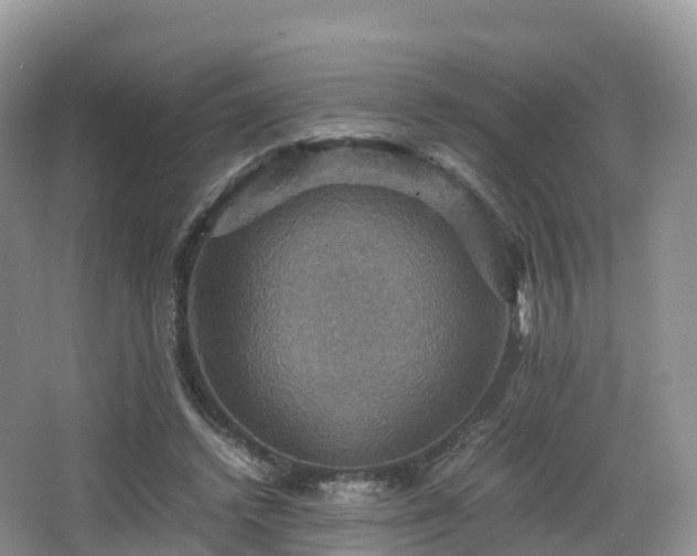 X0000066540448200603241415