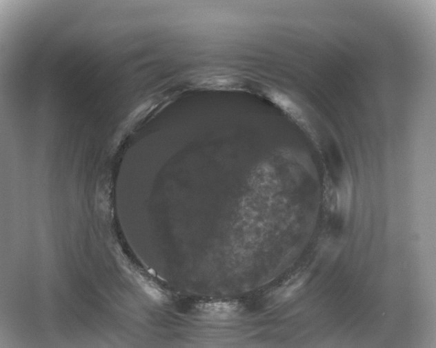 X0000066540449200603241415