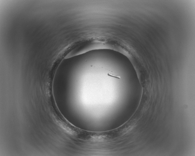 X0000066540450200603241415