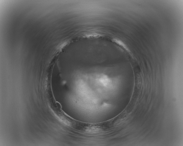 X0000066540451200603241415