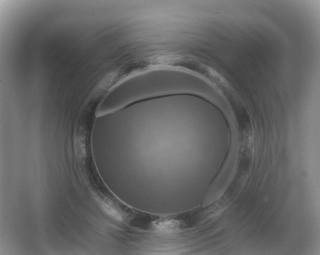 X0000066540452200603241415