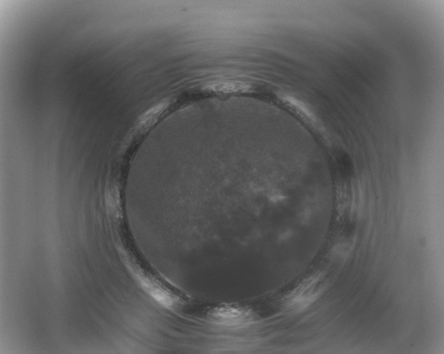 X0000066540453200603241415