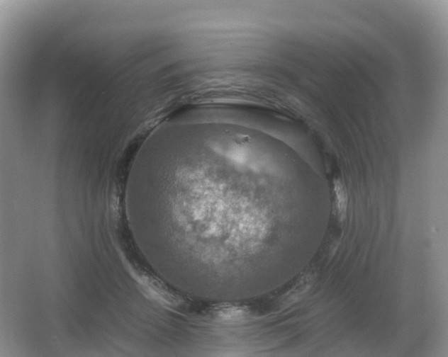 X0000066540456200603241415