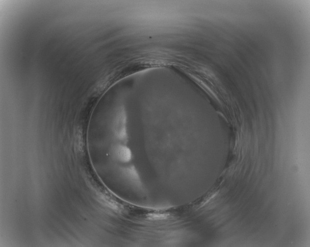 X0000066540457200603241416