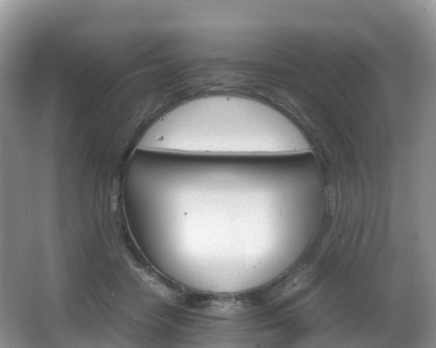 X0000066540458200603241416