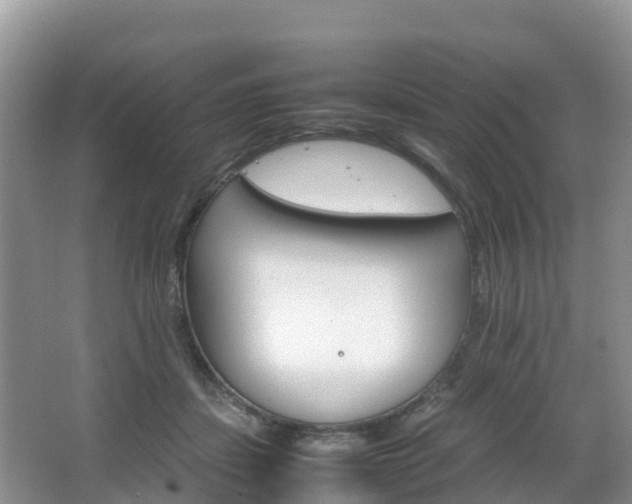 X0000066540459200603241416