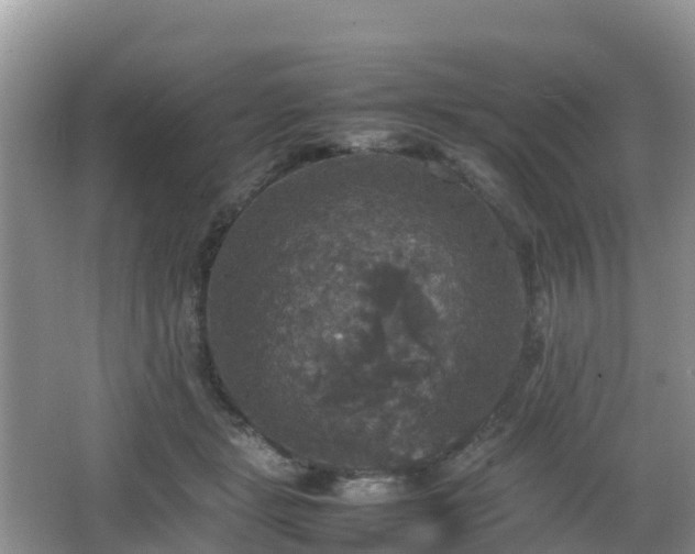 X0000066540461200603241416