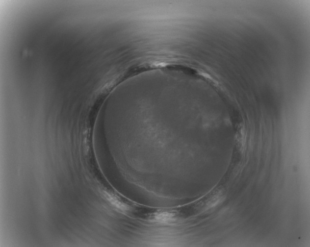 X0000066540462200603241416