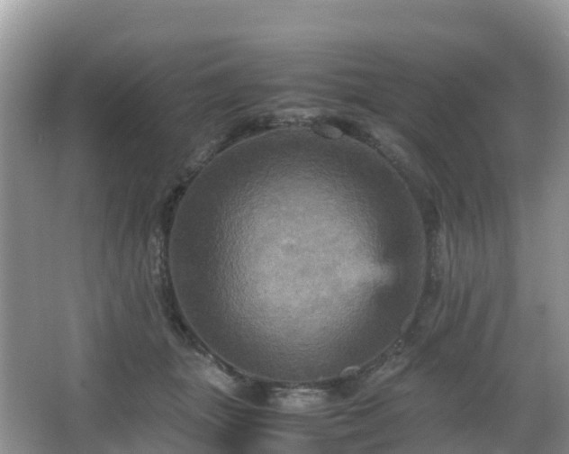 X0000066540463200603241416