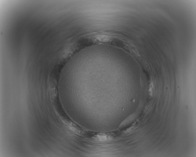 X0000066540464200603241416