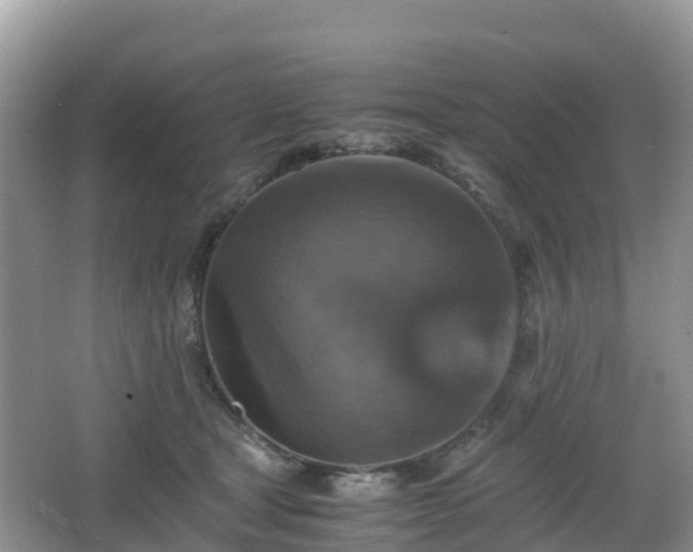 X0000066540465200603241416