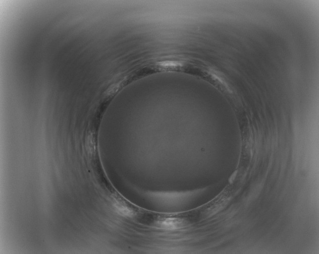 X0000066540467200603241416