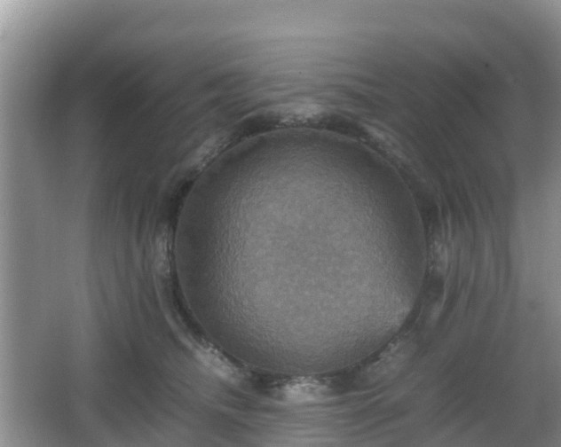 X0000066540468200603241416