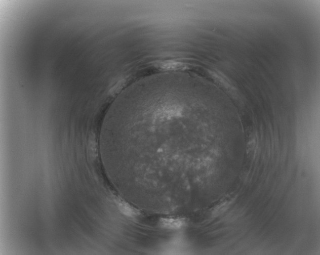 X0000066540469200603241416