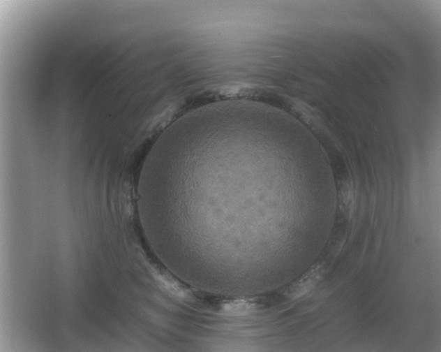 X0000066540470200603241416