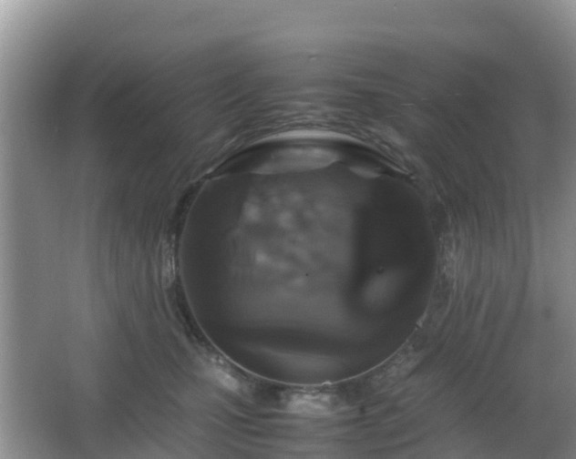 X0000066540471200603241416