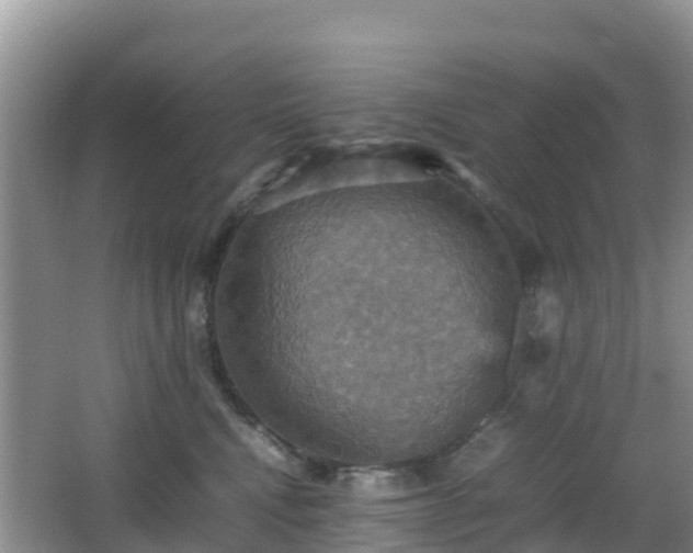 X0000066540472200603241416