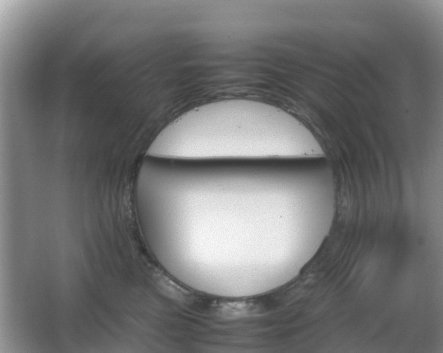 X0000066540473200603241416