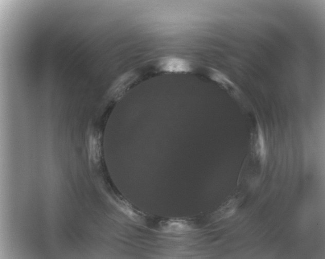 X0000066540475200603241416