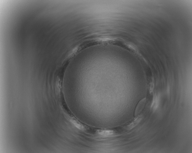 X0000066540476200603241416