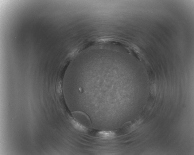 X0000066540477200603241416