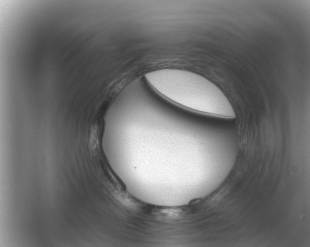 X0000066540478200603241416