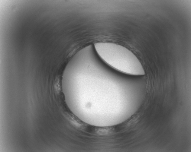 X0000066540479200603241416