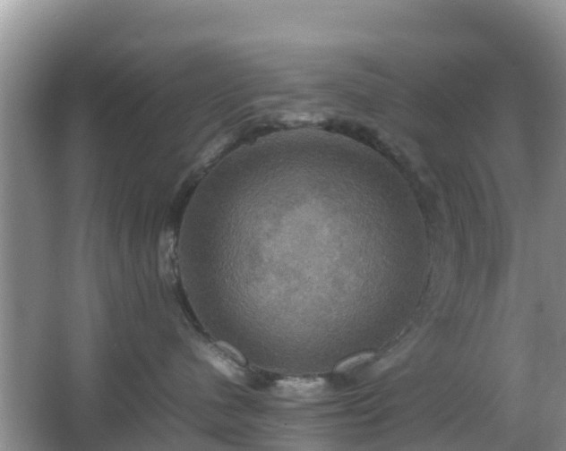 X0000066540480200603241416