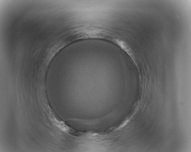 X0000066540481200603241415