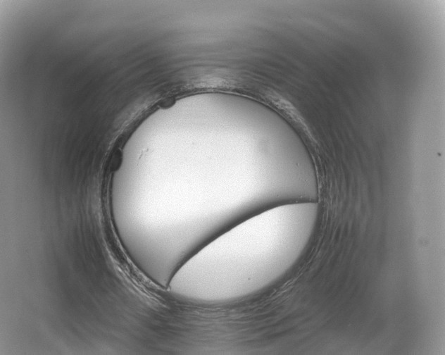 X0000066540482200603241415