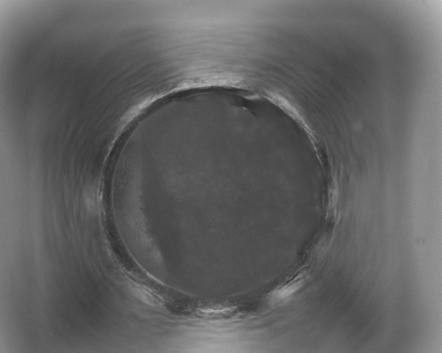 X0000066540483200603241415