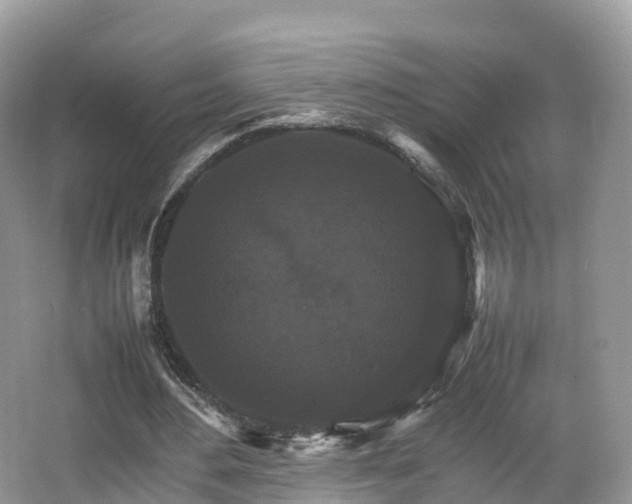 X0000066540484200603241415