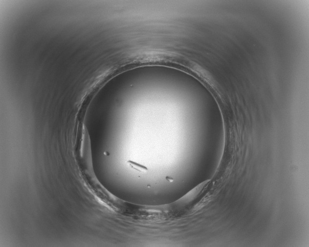 X0000066540485200603241415