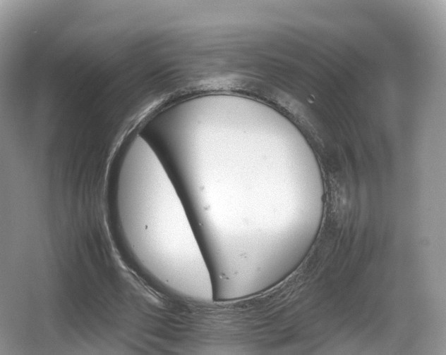 X0000066540486200603241415