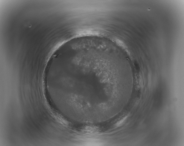 X0000066540487200603241415