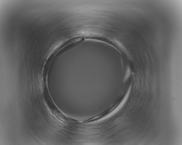 X0000066540488200603241415