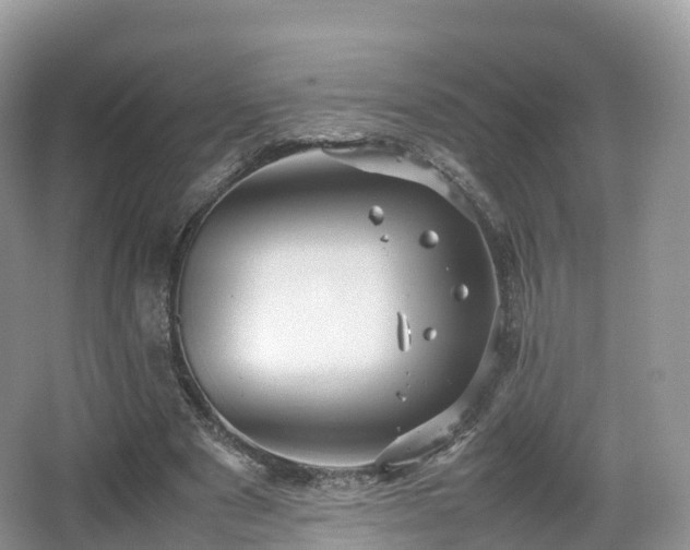 X0000066540489200603241415