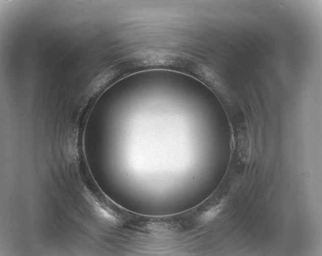 X0000066540490200603241415