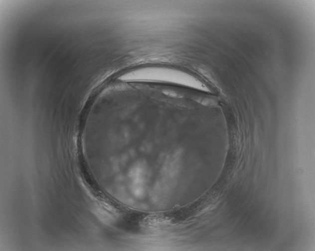 X0000066540491200603241415