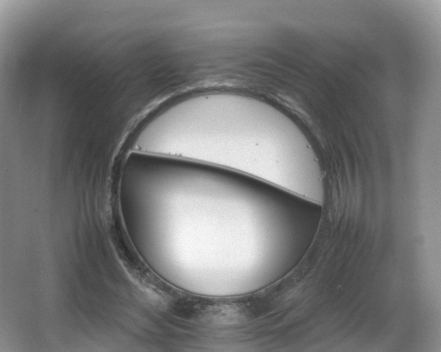 X0000066540492200603241415