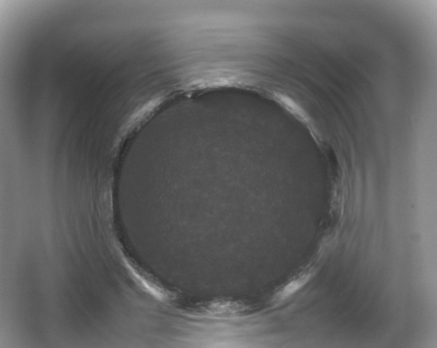 X0000066540493200603241415