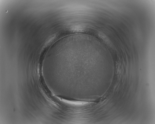 X0000066540494200603241415