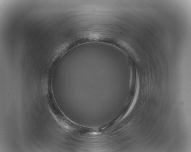 X0000066540496200603241415